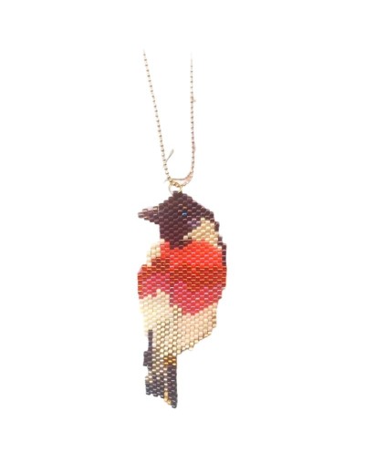 Dije pajarito petirrojo