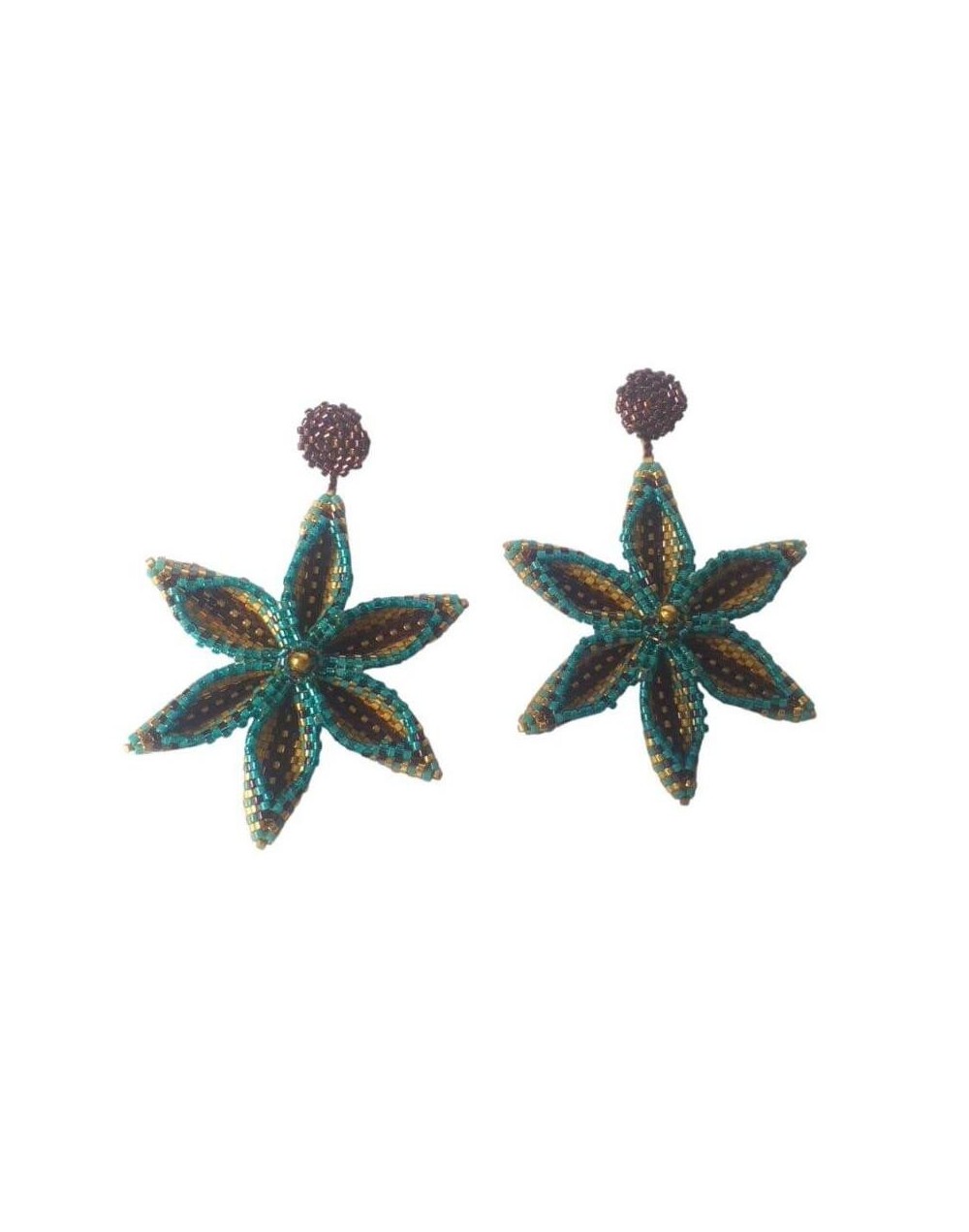 Aretes encanto 