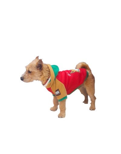 Buzo de navidad para perros Walle