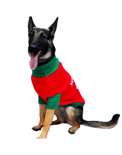  sueter navideño perro