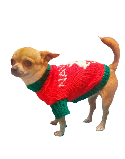  sueter navideño perro