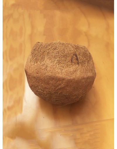 Materas Biodegradables en Fibra de coco Balón Grande