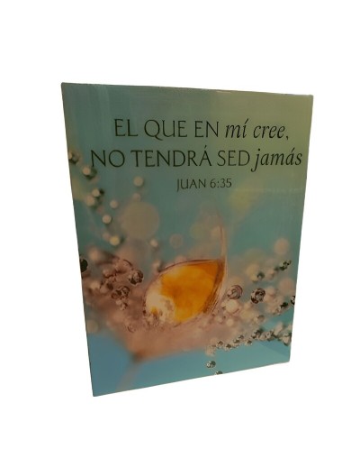 CUADRO SALMOS 20X24CM