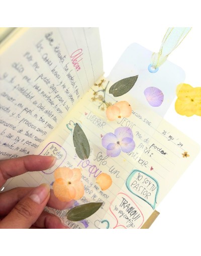 Separador de Libros: Disfruta tus lecturas | Tienda de Accesorios de Lectura