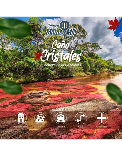 Caño Cristales, el paraiso de los 7 colores.