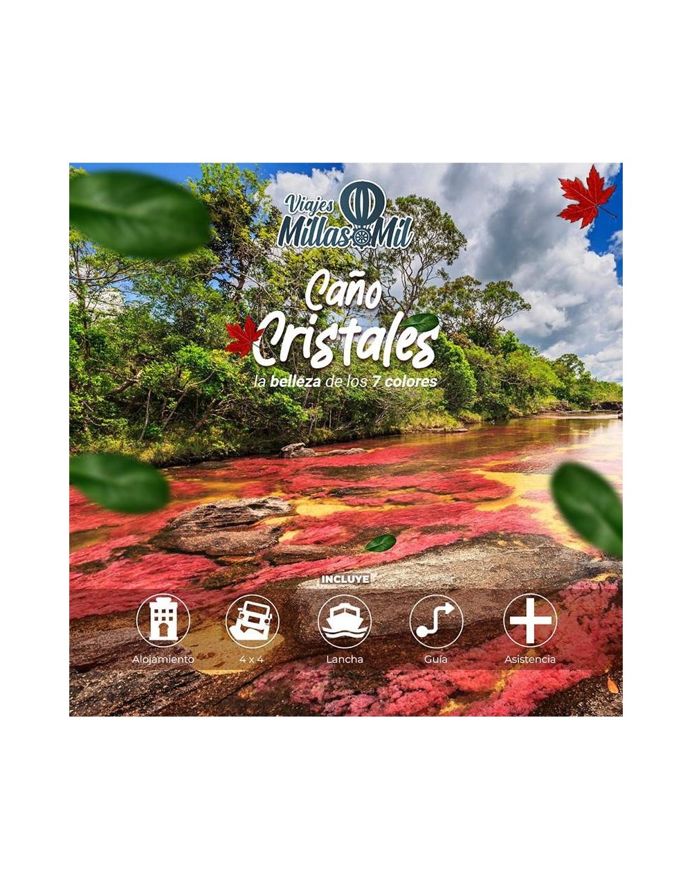 Caño Cristales, el paraiso de los 7 colores.