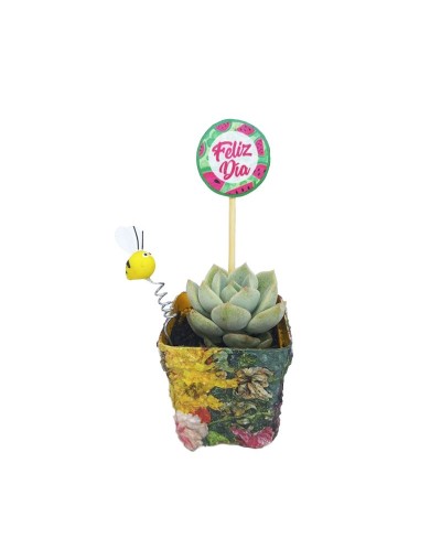 Suculentas para regalar 