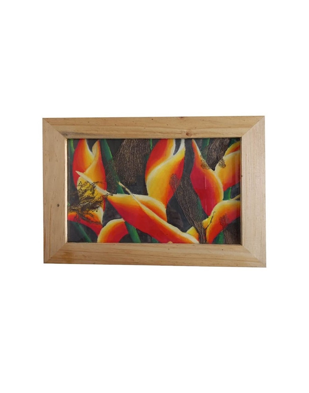 Cuadros decorativos ecológicos