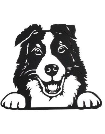 COLLIE
