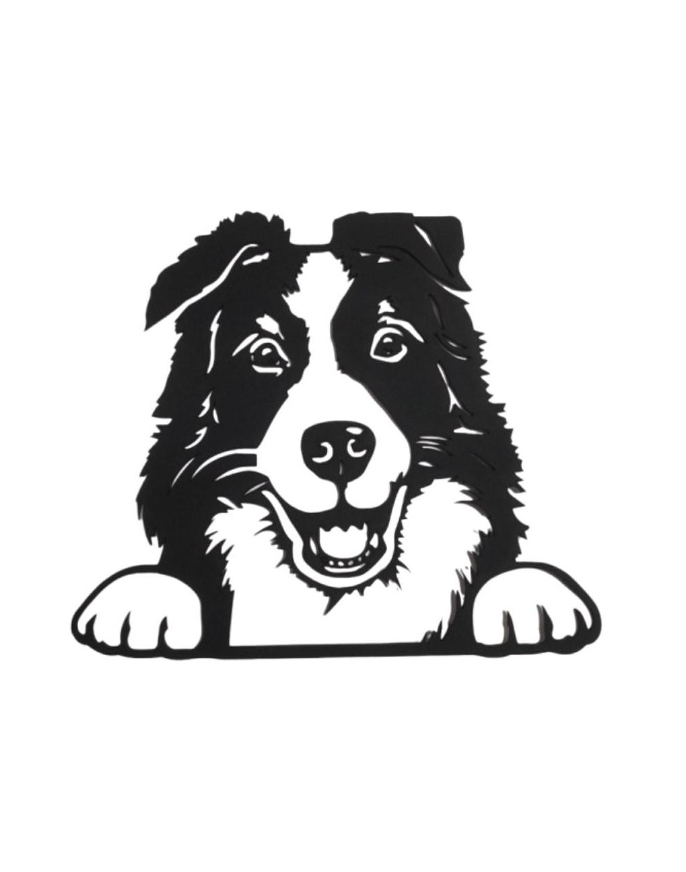 COLLIE