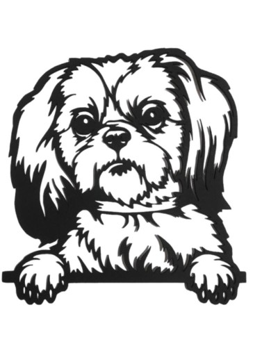 YORSHIRE TERRIER