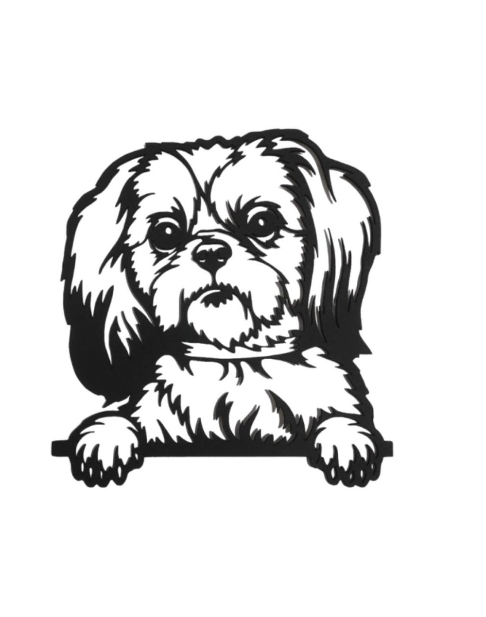 YORSHIRE TERRIER