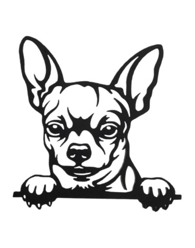 CHIHUAHUA