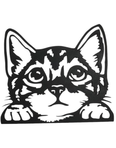 GATO BEBE