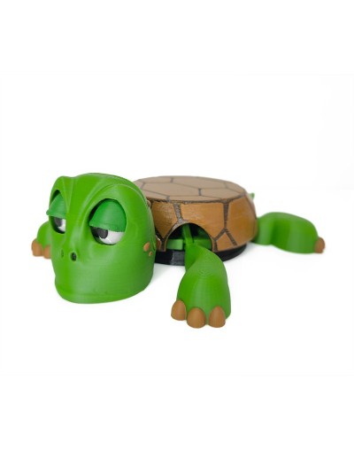 portavasos tortuga