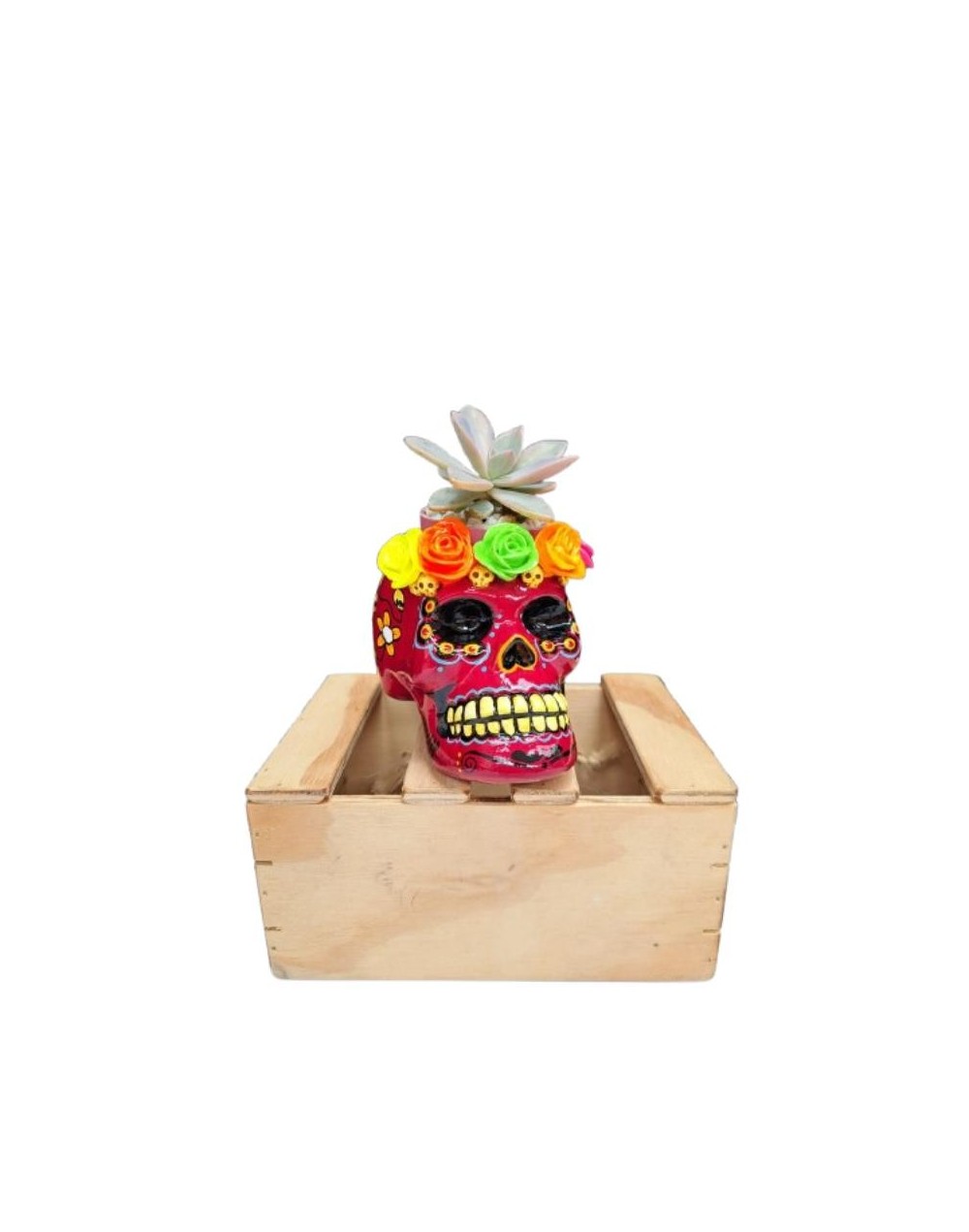 Matera Catrina Mediana
