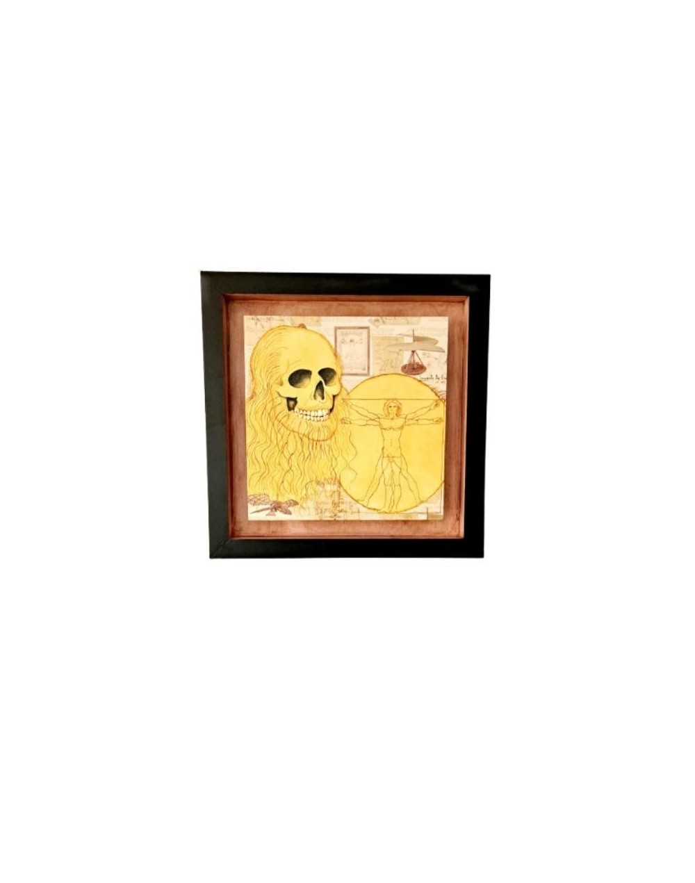 Cuadro Leonardo DaVinci