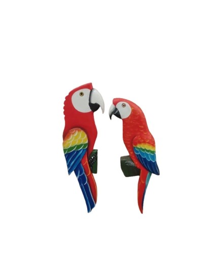 LOROS IMANADOS
