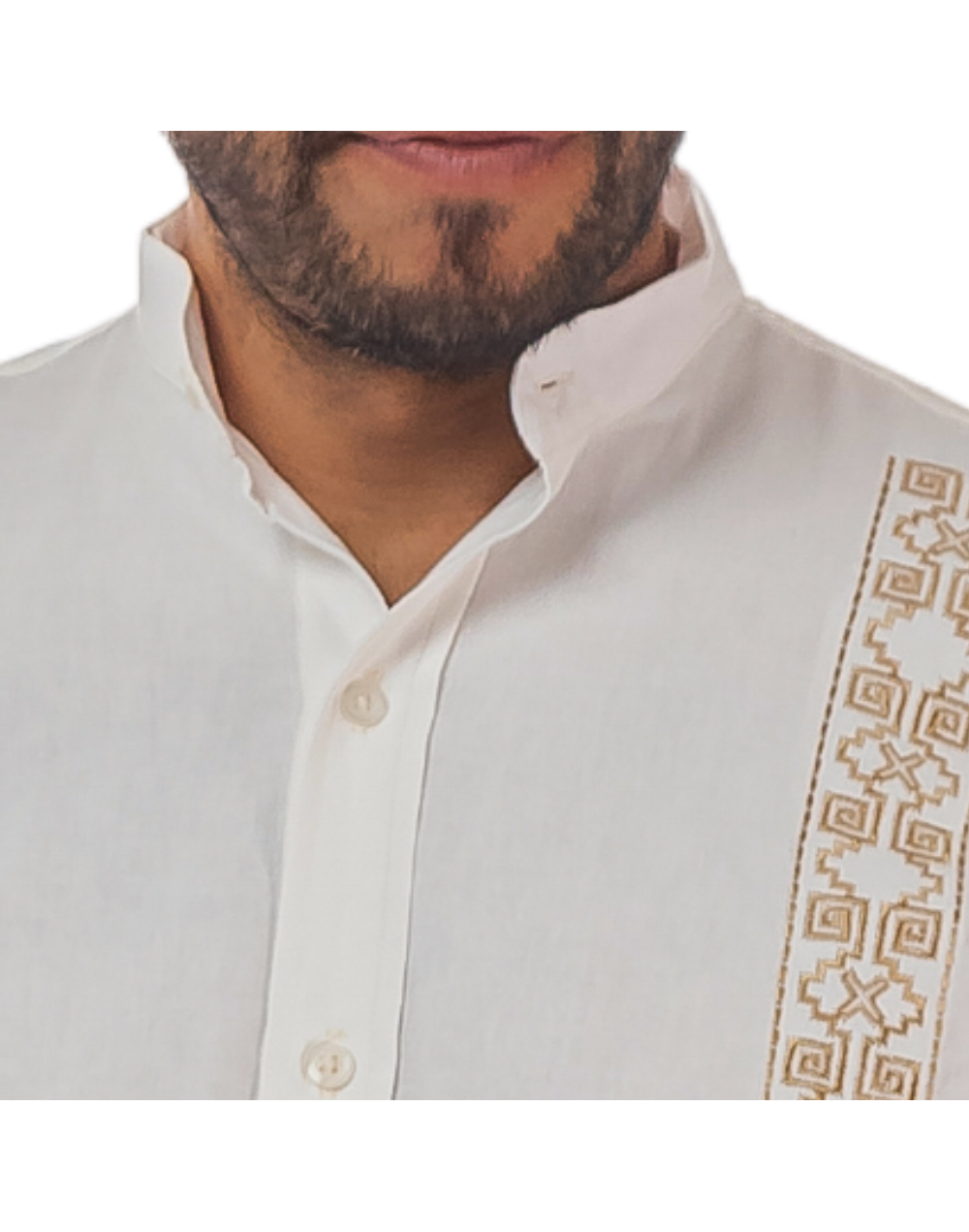 Guayabera beige neru