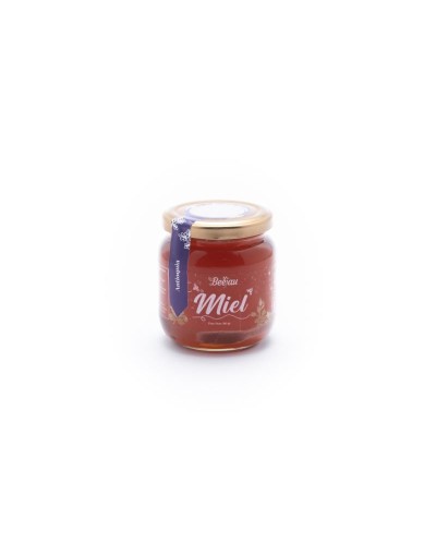 MIEL DE ABEJAS - ORÍGEN ANTIOQUIA- 280GR
