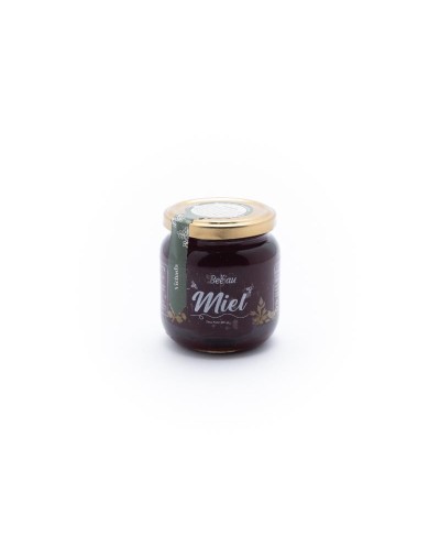 MIEL DE ABEJAS - ORÍGEN VICHADA - 280GR