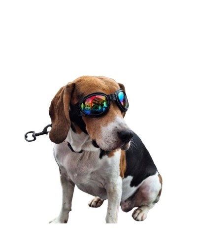 Gafas para Perros con Protección UV 400