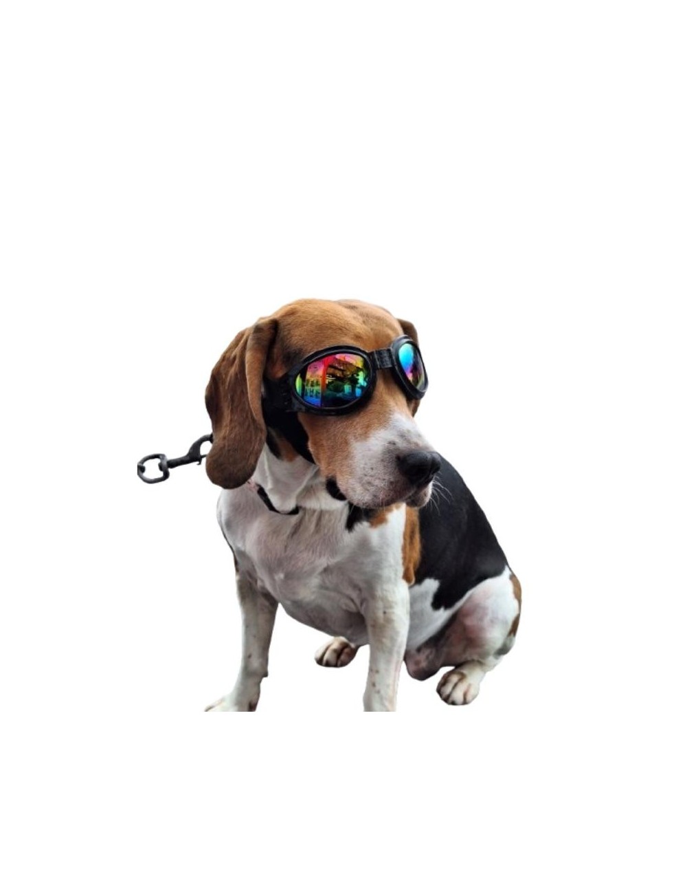 Gafas para Perros con Protección UV 400