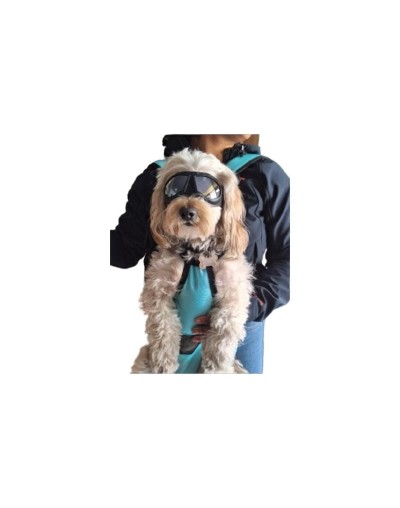 Cargador Para perros pequeñosmedianos
