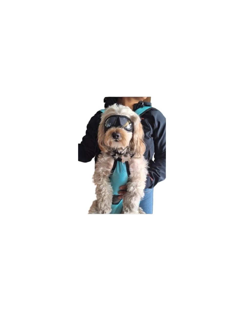 Cargador Para perros pequeñosmedianos