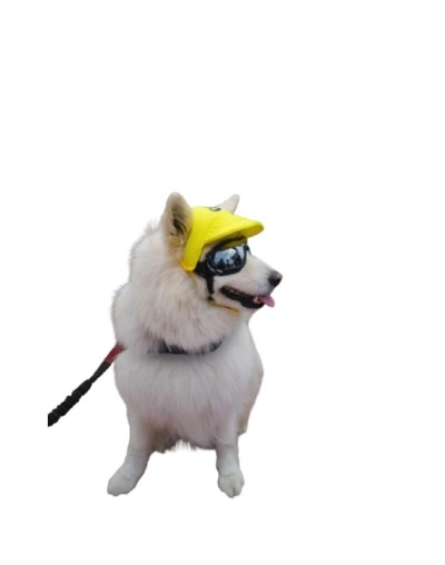 Gafas Pro para perros con lente tipo espejo 