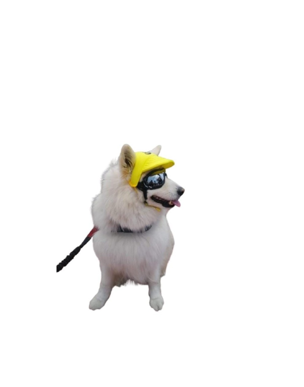 Gafas Pro para perros con lente tipo espejo 