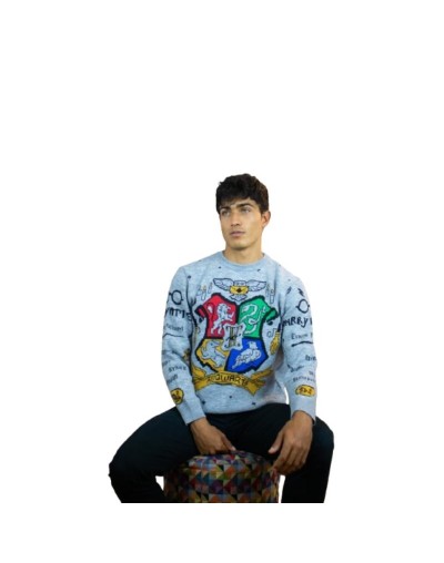 Sweater Harry Potter