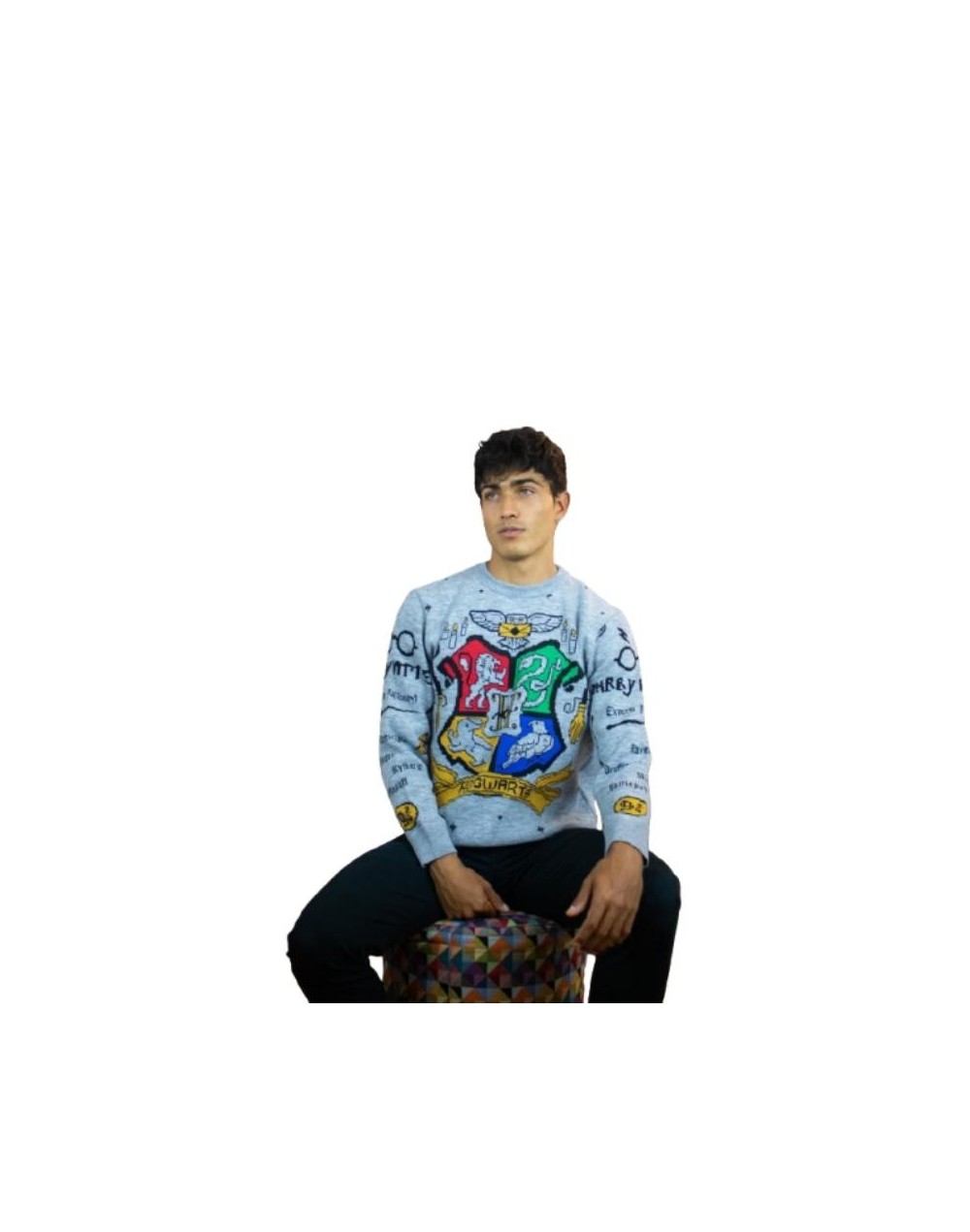 Sweater Harry Potter