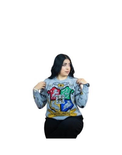 Sweater Harry Potter