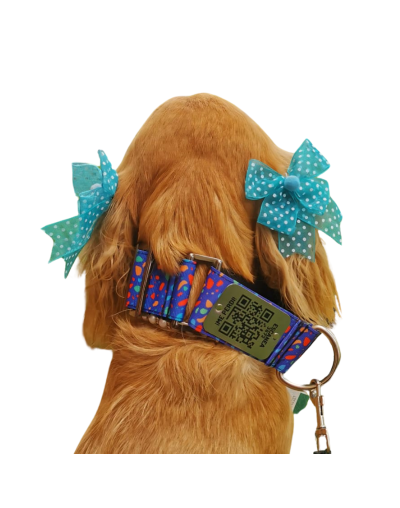 Collar QR Martingale