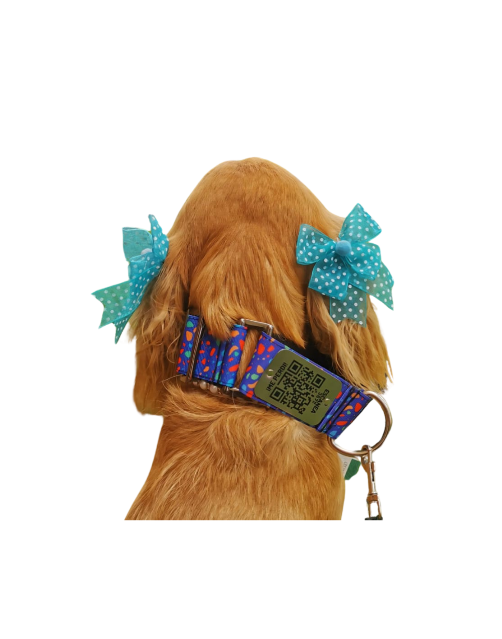 Collar QR Martingale