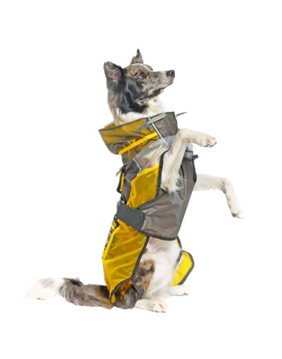 CAPA IMPERMEABLE PARA PERRO FRIKIDESIGN