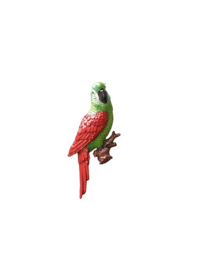 LOROS IMANADOS