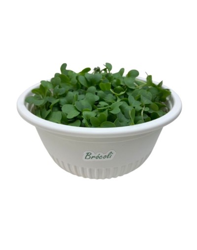 Hortalitas de Brócoli