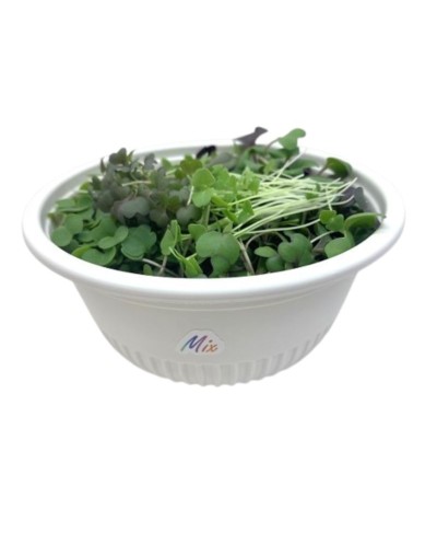 Hortalitas Mix
