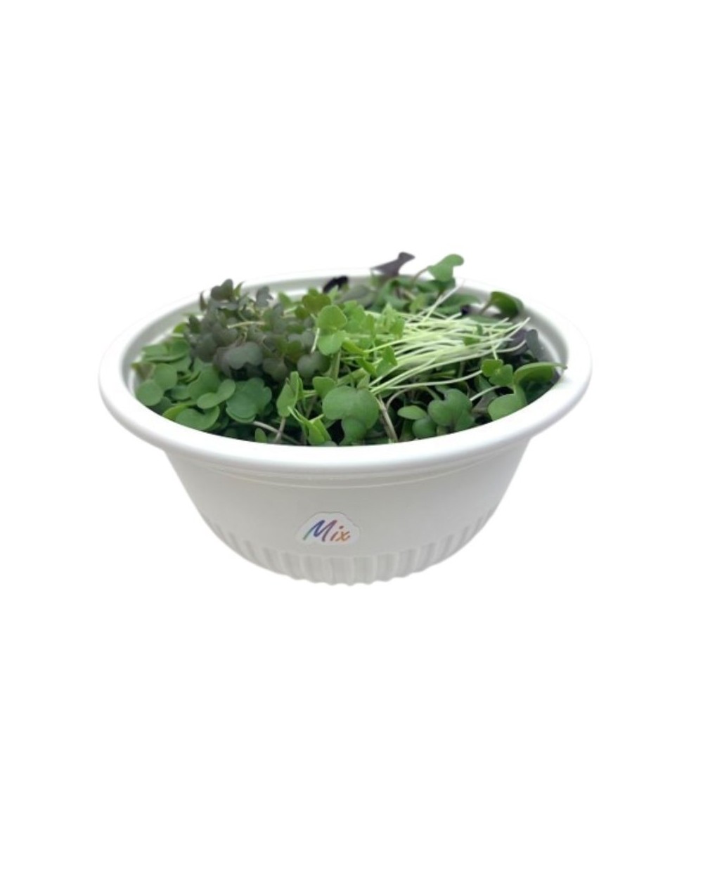 Hortalitas Mix