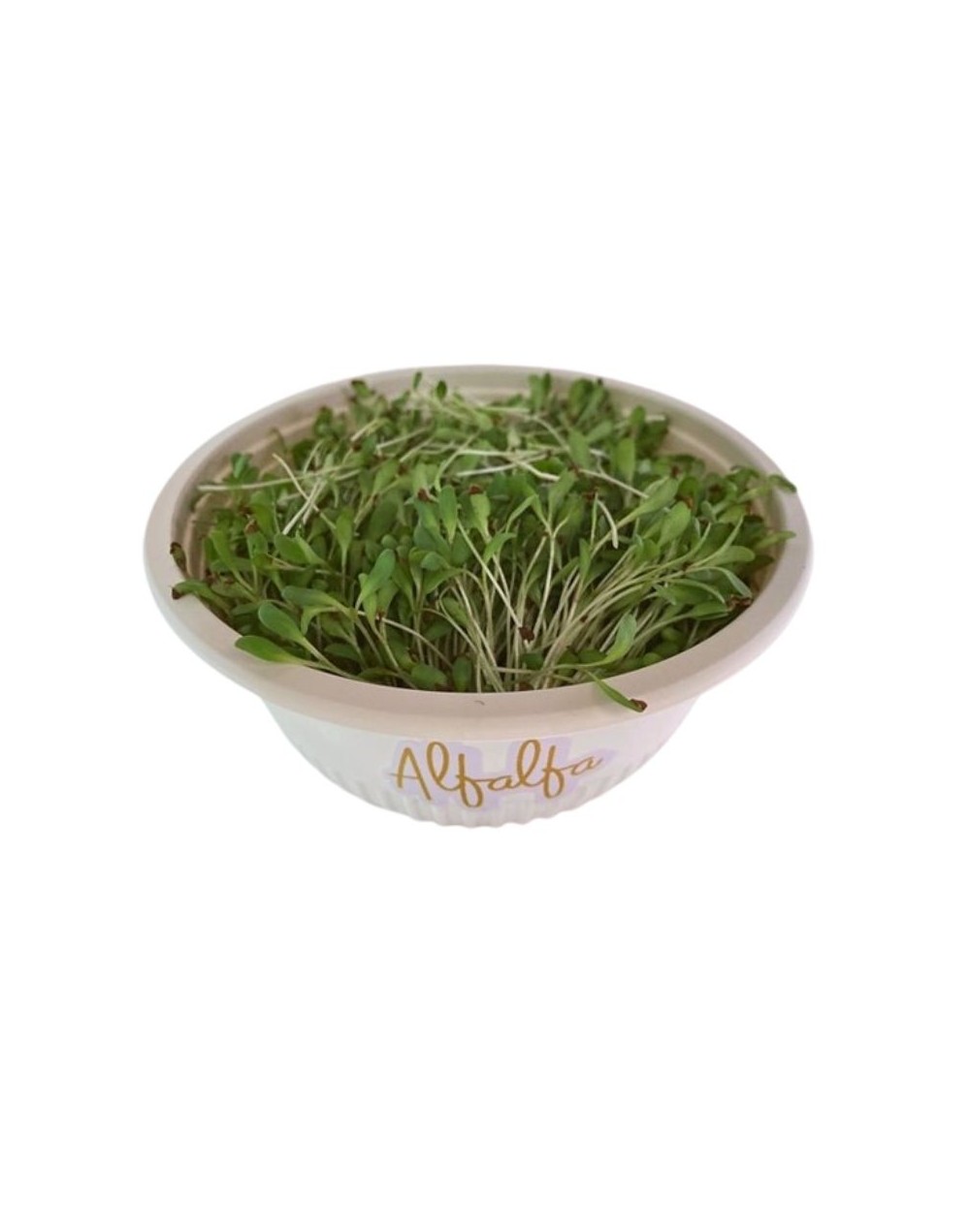 Hortalitas de Alfalfa