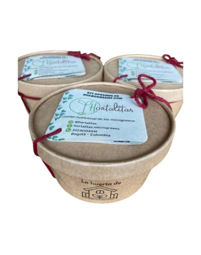 Kit de siembra de Hortalitas