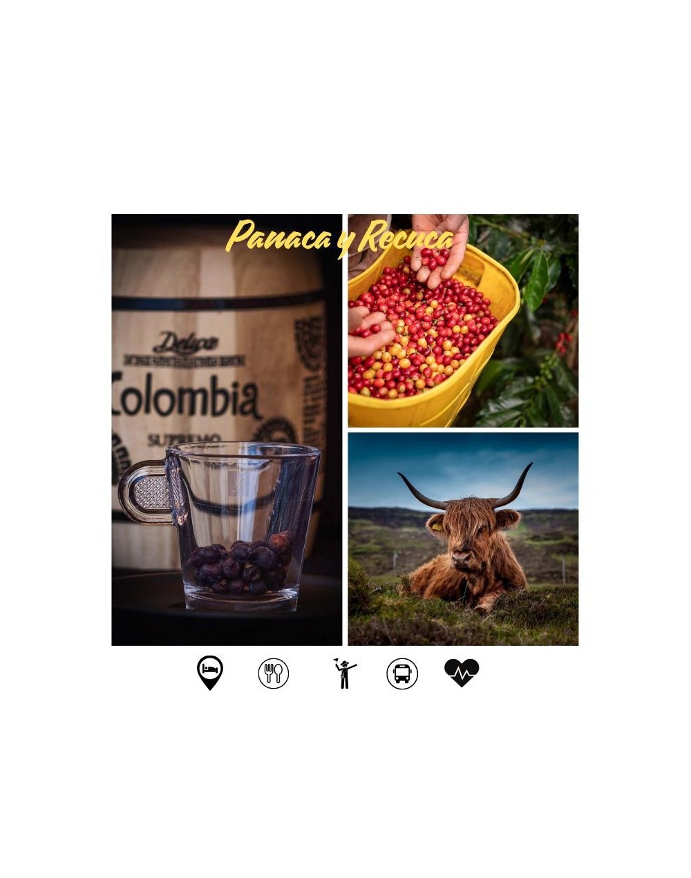 Panaca y Recuca