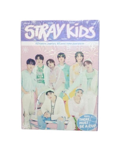 Mistery Box Stray Kids