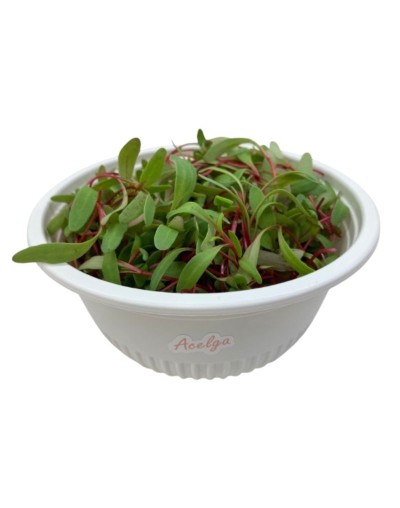 Hortalitas de Remolacha