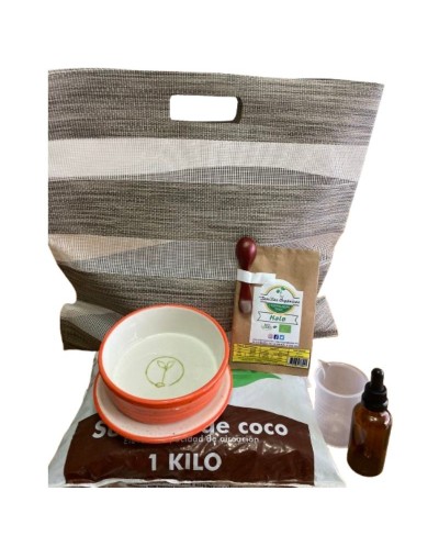 Kit 10 siembras de Hortalitas
