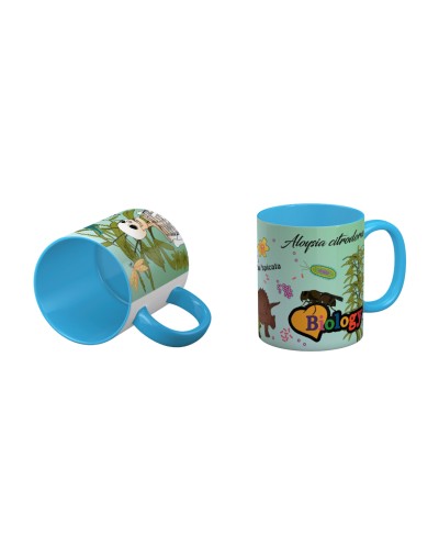 Mug Color M06