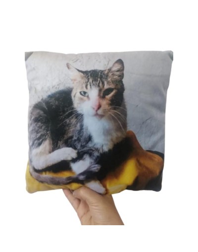 Cojines personalizados de 30x30cm 