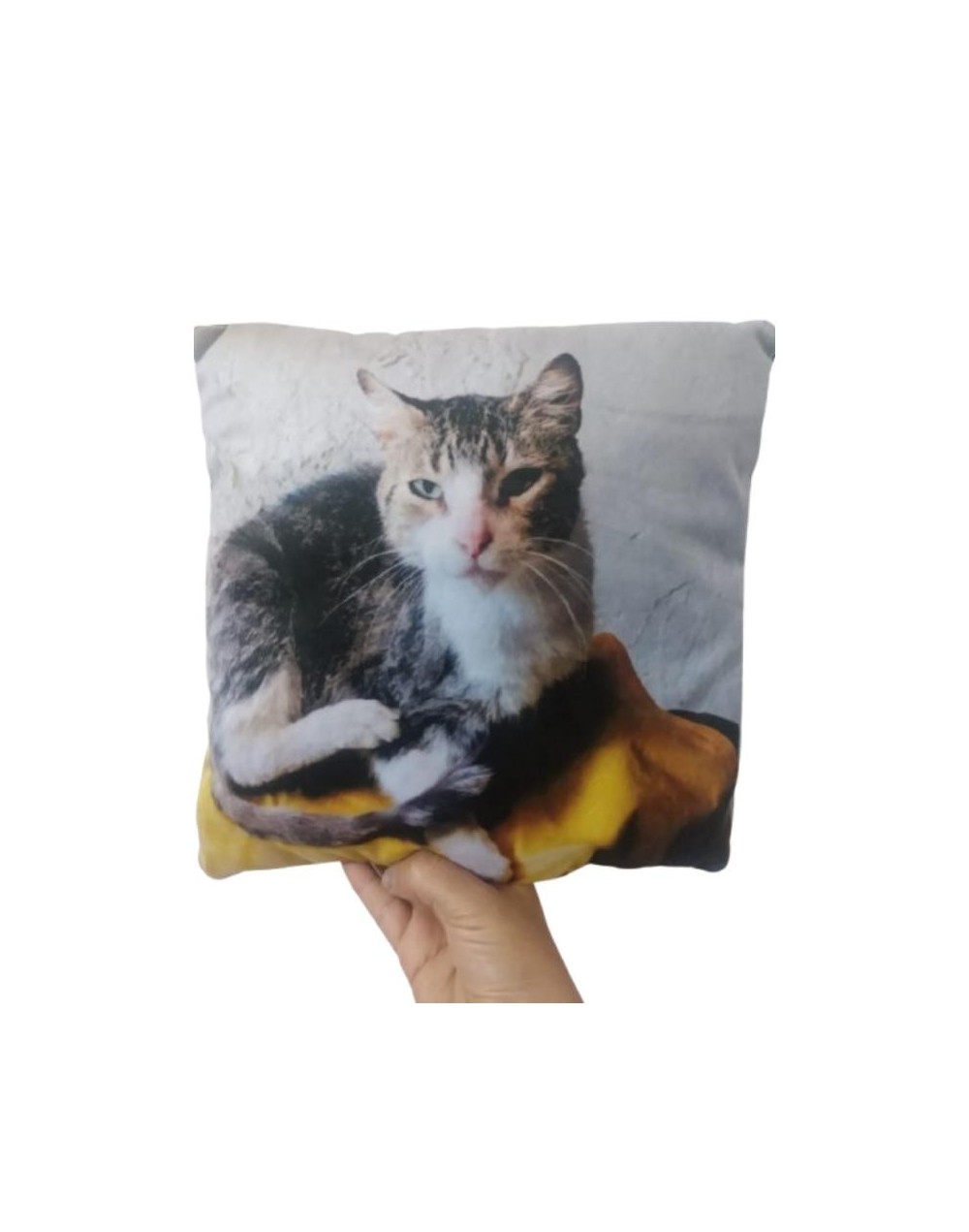 Cojines personalizados de 30x30cm 